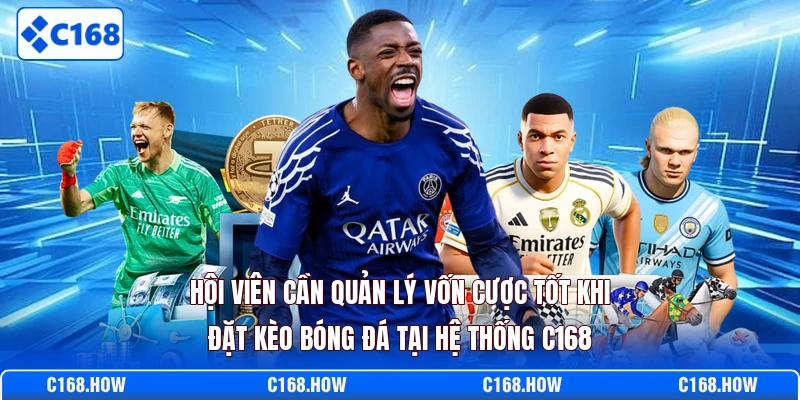 Hội viên cần quản lý vốn cược tốt khi đặt kèo bóng đá tại hệ thống C168
