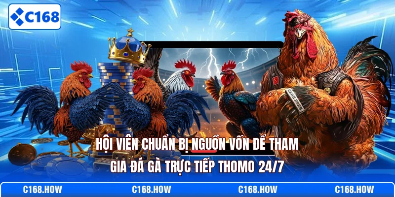 Hội viên chuẩn bị nguồn vốn để tham gia đá gà trực tiếp Thomo 24/7