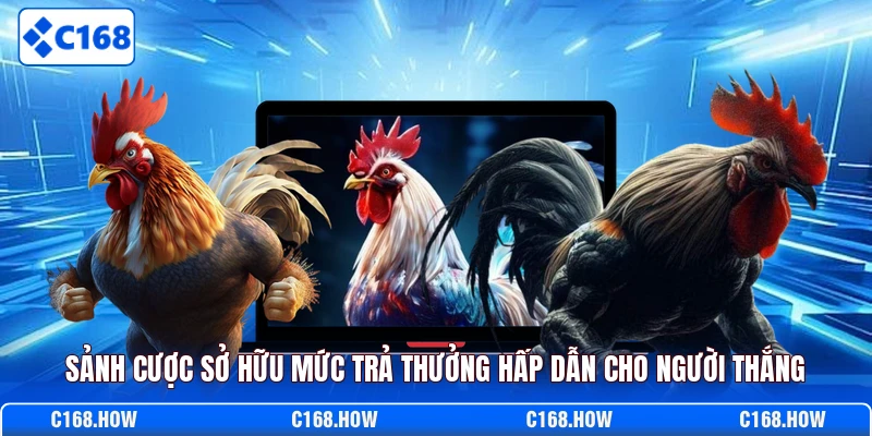 Sảnh cược sở hữu mức trả thưởng hấp dẫn cho người thắng