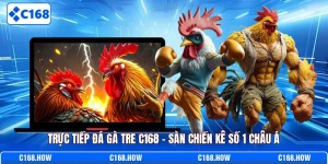 Trực tiếp đá gà tre