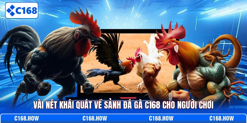 Vài nét khái quát về sảnh đá gà C168 cho người chơi